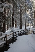 IMG_0162
