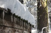 IMG_0163