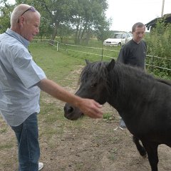 Larry, Rosťa and Karkulka the horse