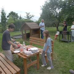 Jana made a huge pile of schnitzels .Oh so good!
