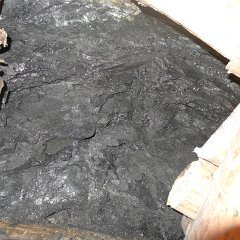 Nice high quality black coal