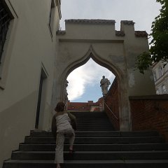 Sammy is in a hurry to get dinner.