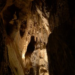 P1020617