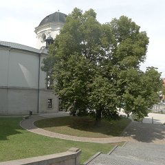 P1020653