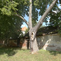 We stopped to see Porta Coeli Convent founded in 1233 by a widow of King Otakar 1st.