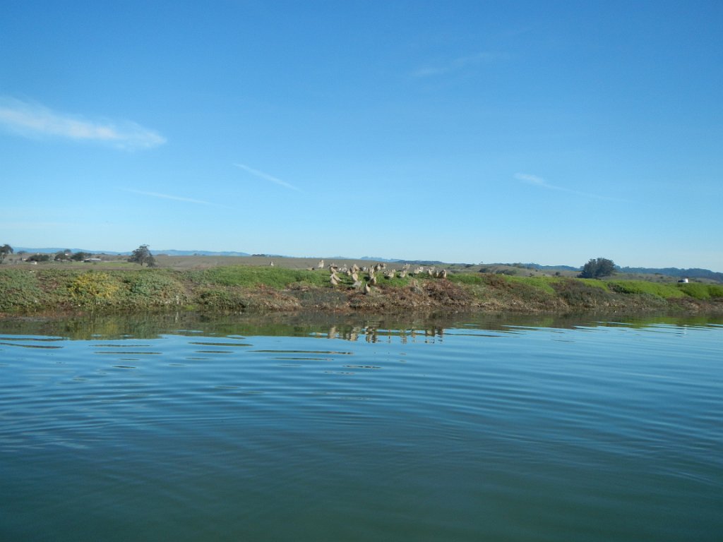 DSCN0720