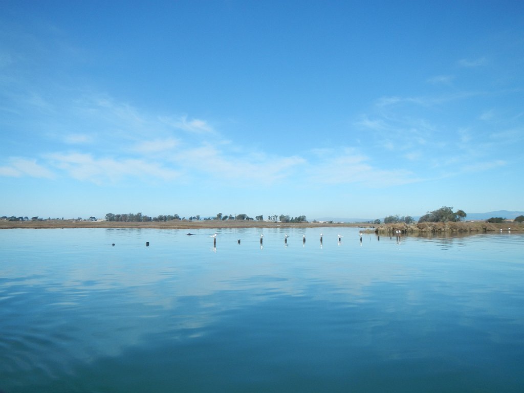 DSCN0732
