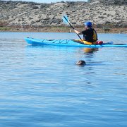 DSCN0707.JPG