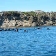 DSCN0710.JPG