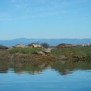 DSCN0716.JPG