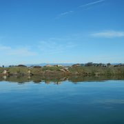 DSCN0718.JPG