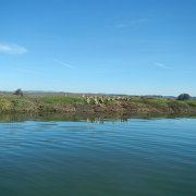 DSCN0720.JPG