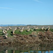 DSCN0721.JPG
