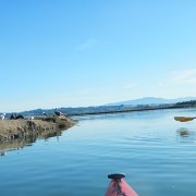 DSCN0725.JPG