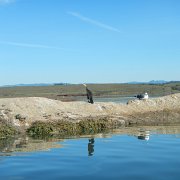 DSCN0728.JPG