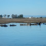 DSCN0729.JPG