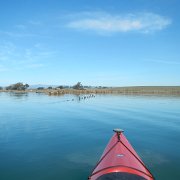 DSCN0730.JPG