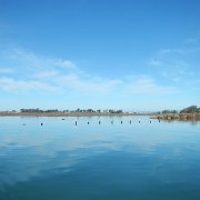 DSCN0732.JPG