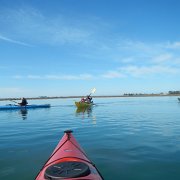 DSCN0733.JPG
