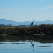 DSCN0741.JPG