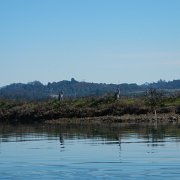 DSCN0742.JPG