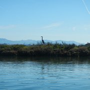 DSCN0745.JPG