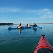 DSCN0748.JPG