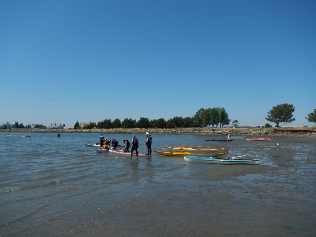 DSCN0939