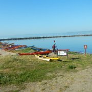 DSCN0916.JPG