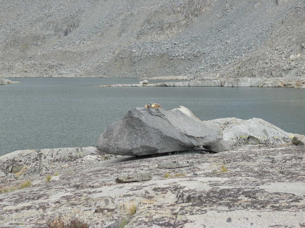 P1120970