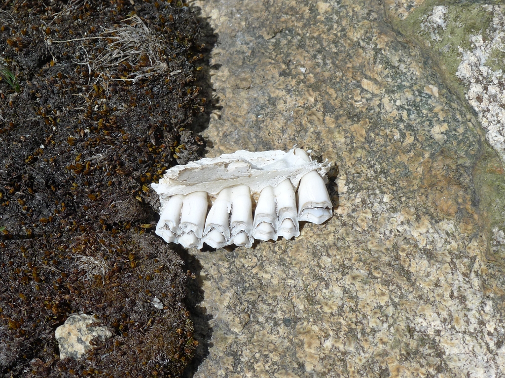 P1130087