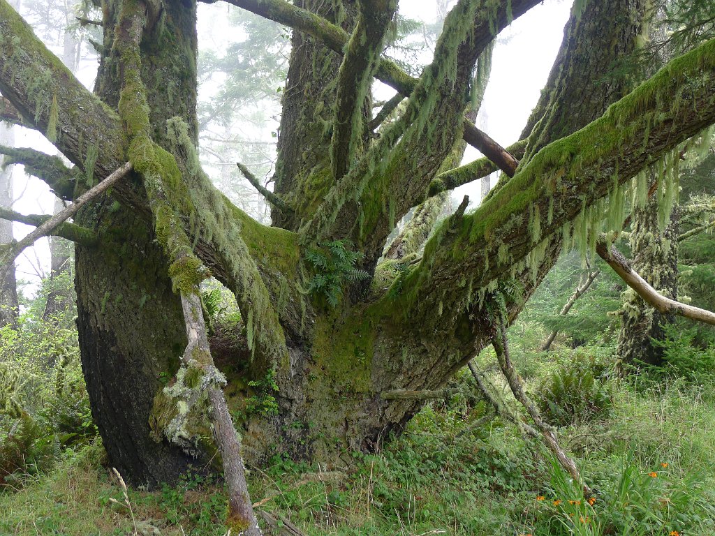 P1120846
