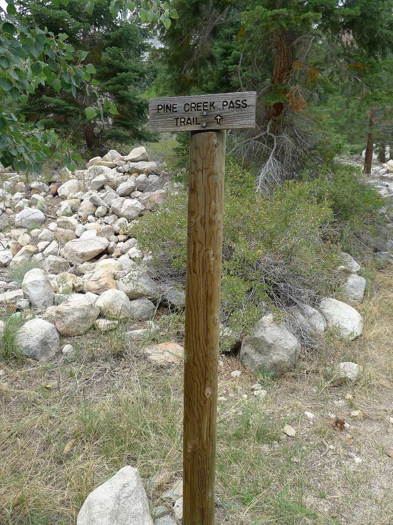 P1130193