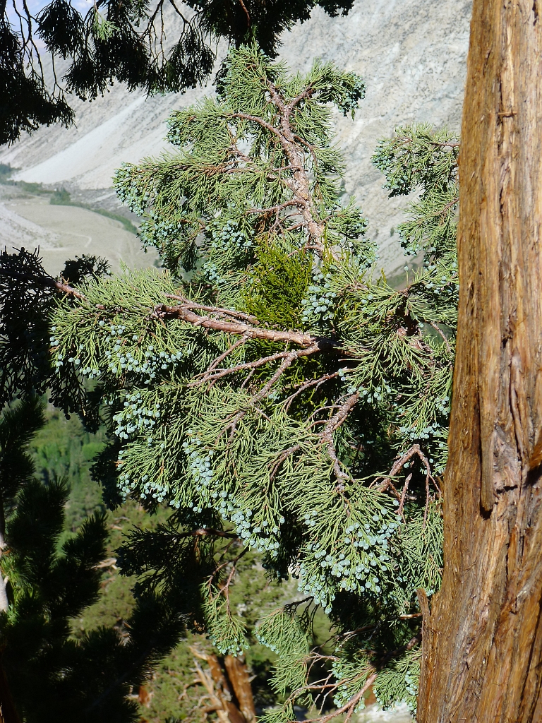 P1130562