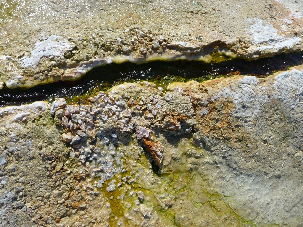 P1130591