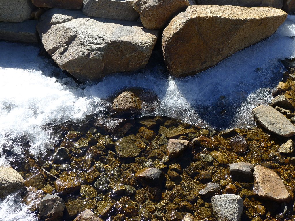 P1130895