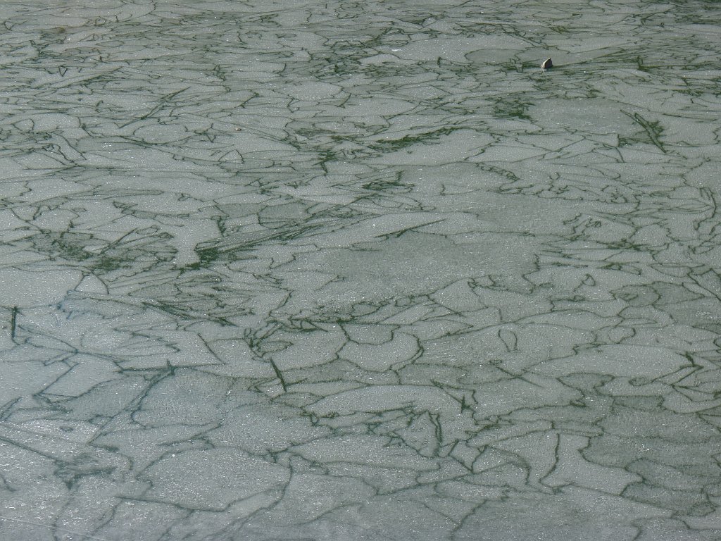 P1130896