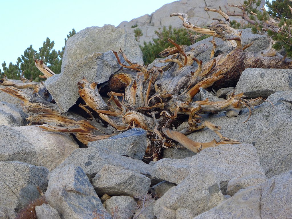 P1130935