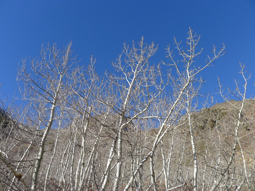 P1140008