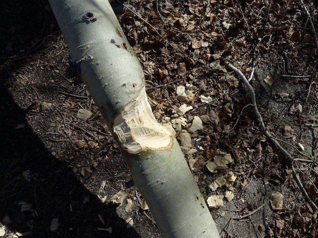 P1140022