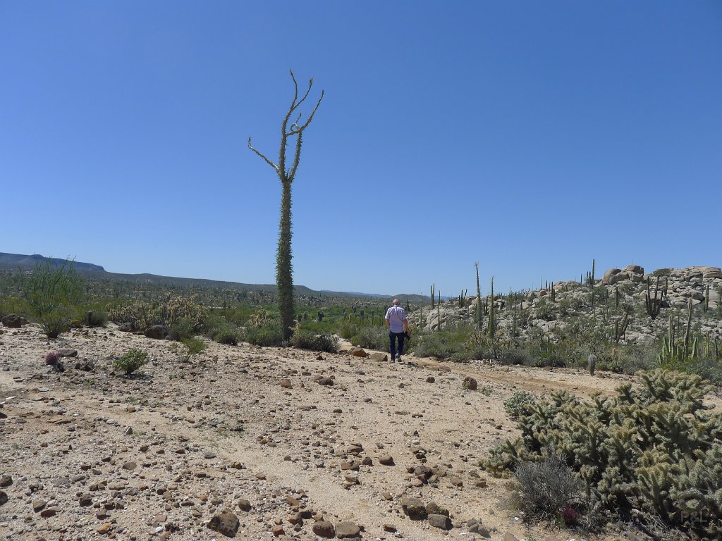 P1140951