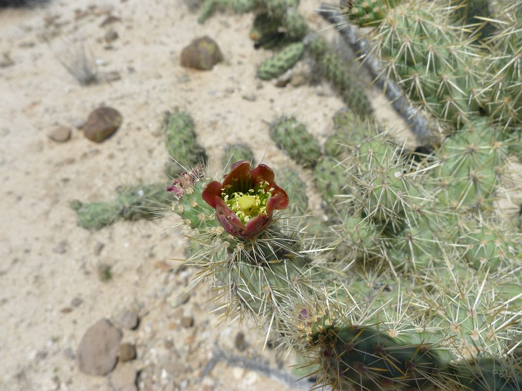 P1140955