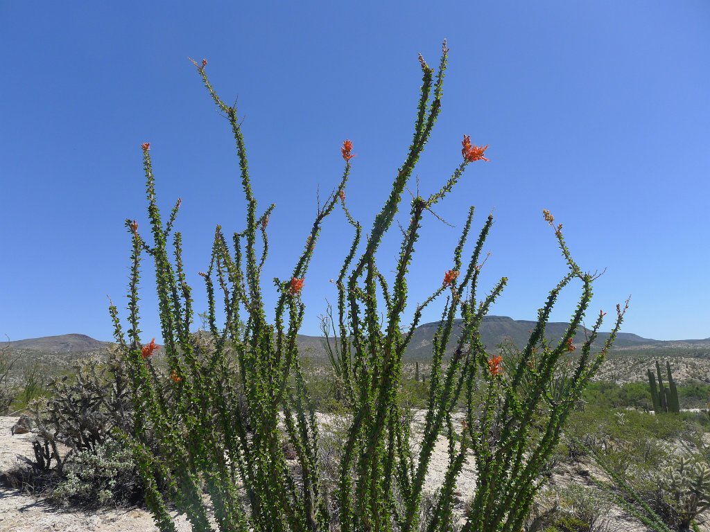 P1140956