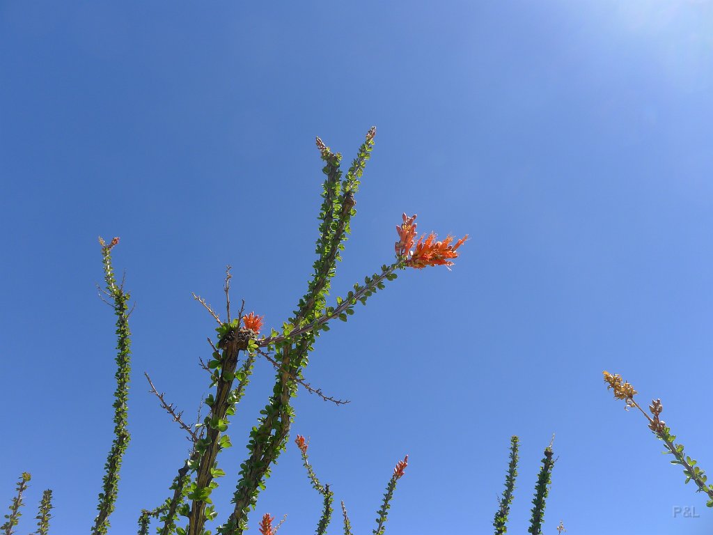 P1140957
