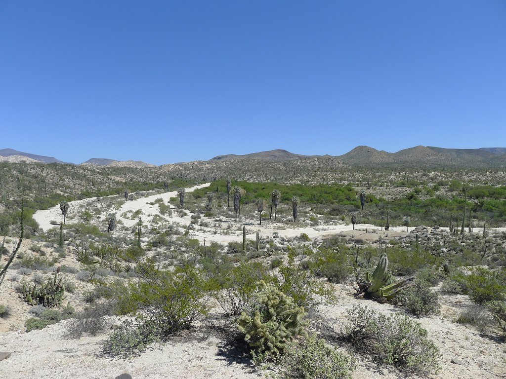 P1140965