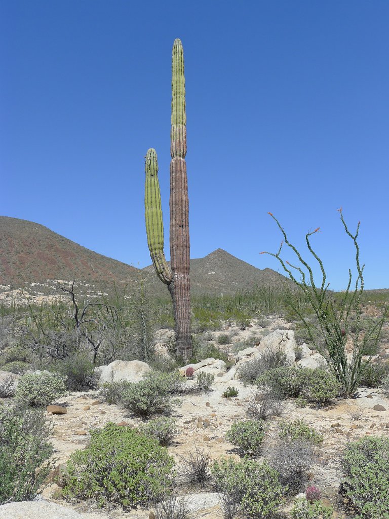 P1140976