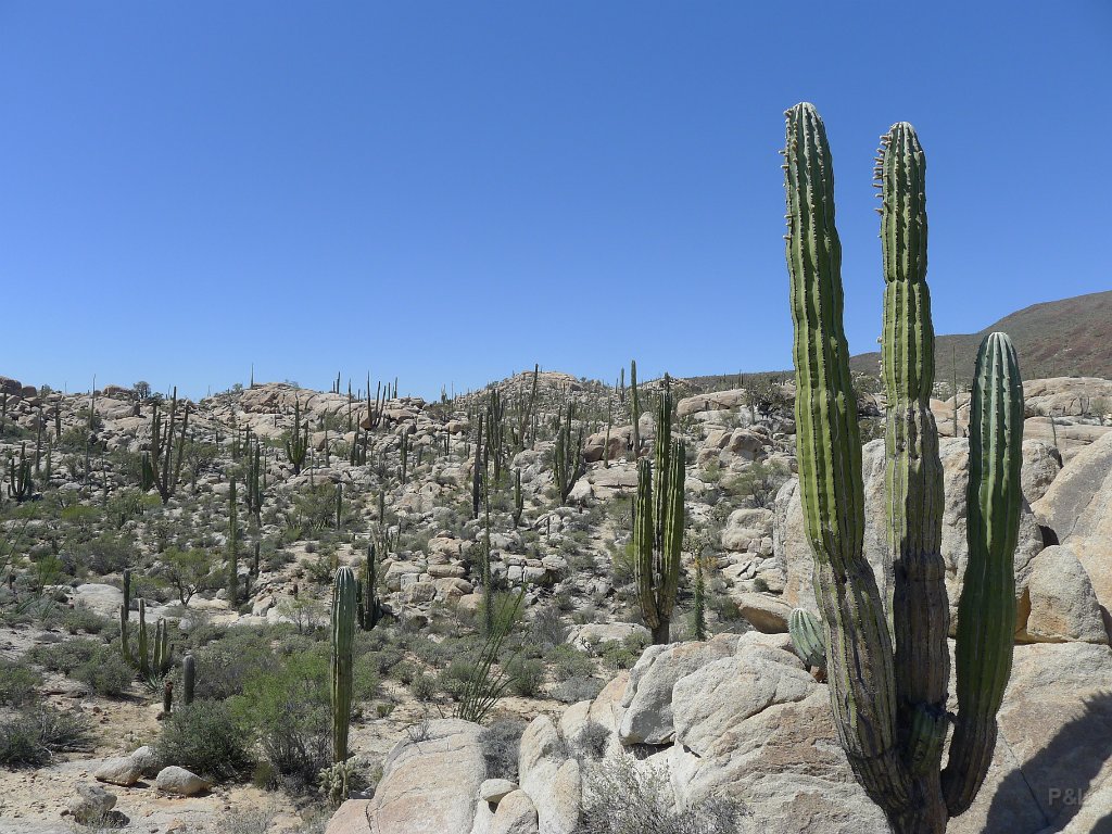 P1140979