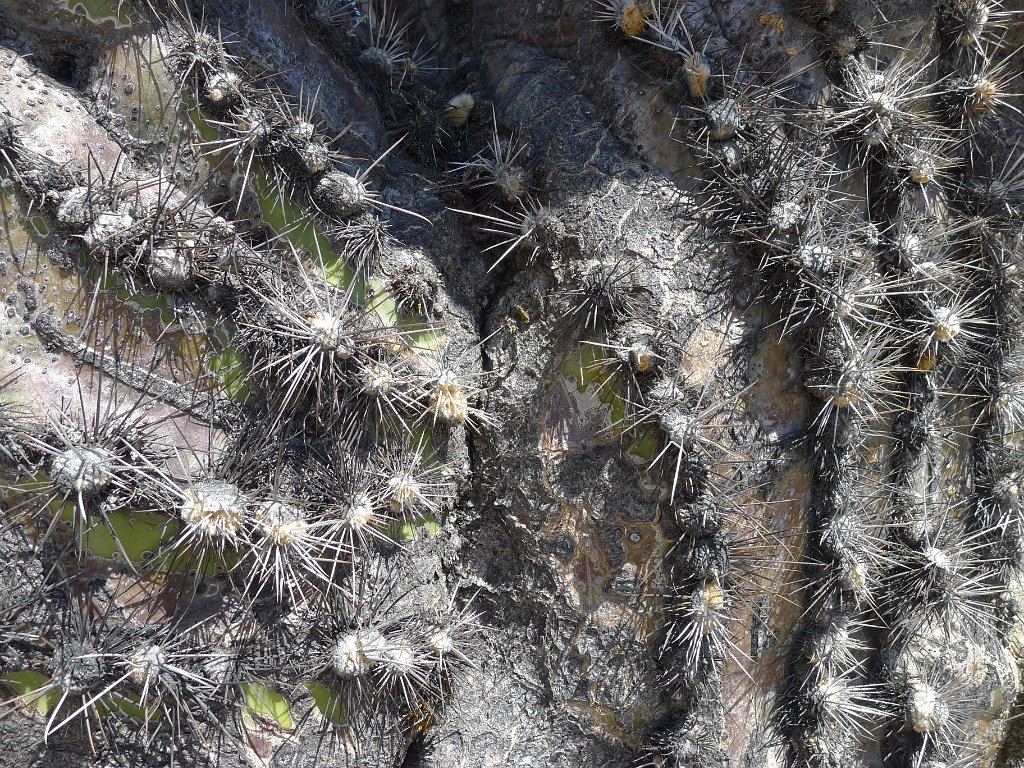 P1140989