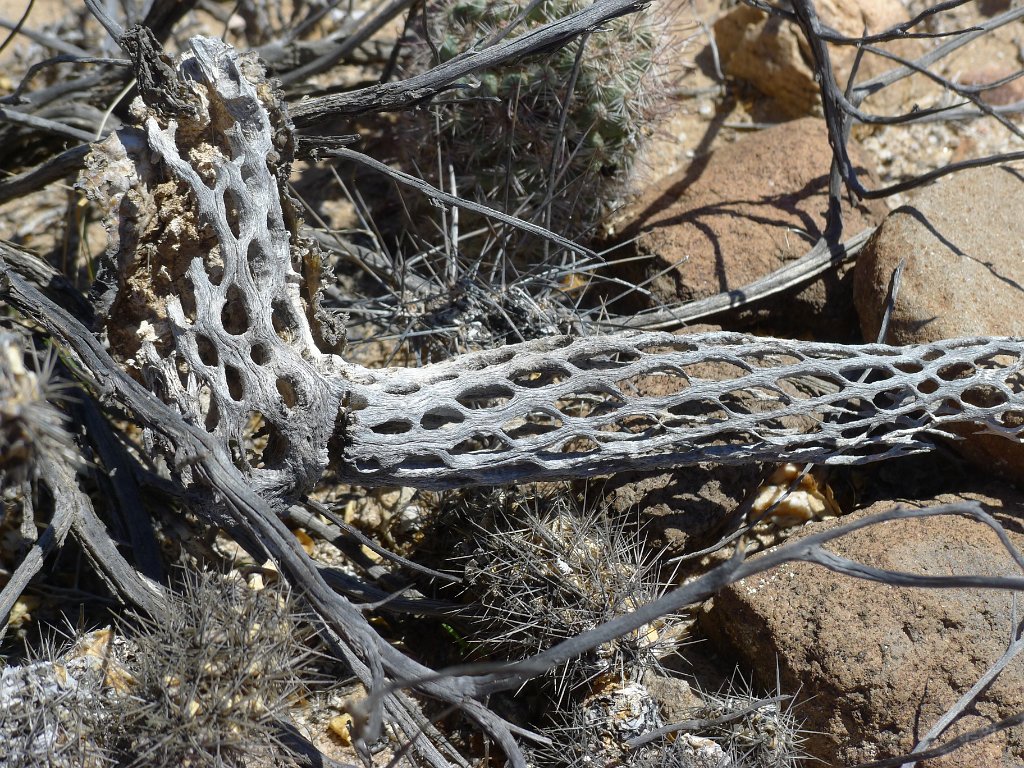 P1140995