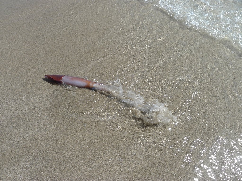 P1150091
